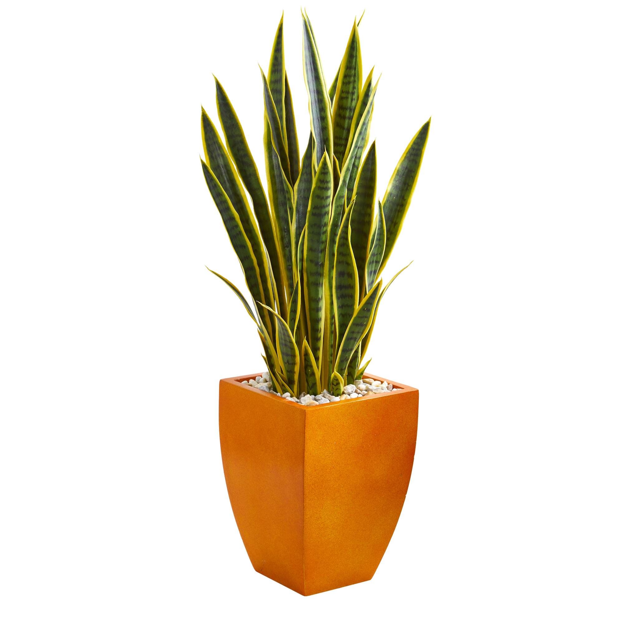 4ft. Snake Plant in Orange Planter